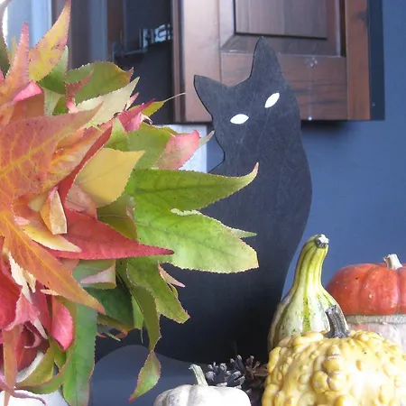 Penzion A Cjase Di Lise 3*